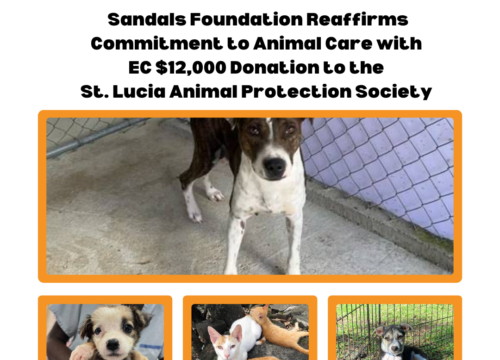 Sandals Foundation Reaffirms Commitment to Animal Care with EC $12,000 Donation to the St. Lucia Animal Protection Society