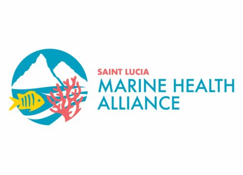 SLHTA’s Tourism Enhancement Fund and SLUNCF unveil Saint Lucia Marine Health Alliance