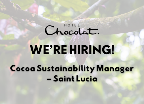 VACANCY: Cocoa Sustainability Manager  – Saint Lucia