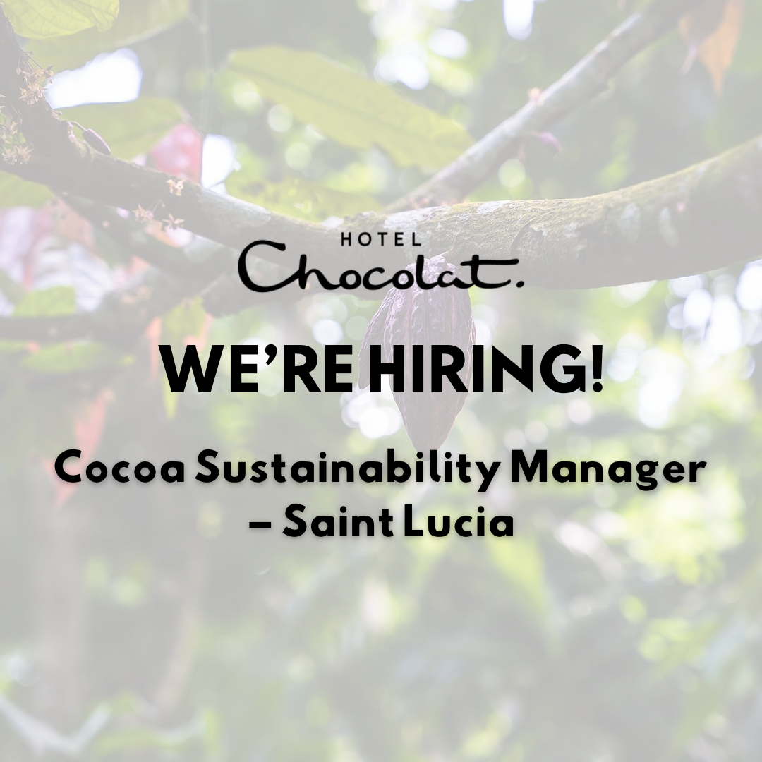 VACANCY: Cocoa Sustainability Manager  – Saint Lucia