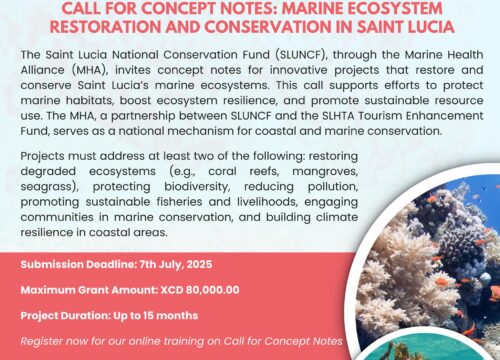 Call for Concept Notes: Marine Ecosystem Restoration and Conservation in Saint Lucia