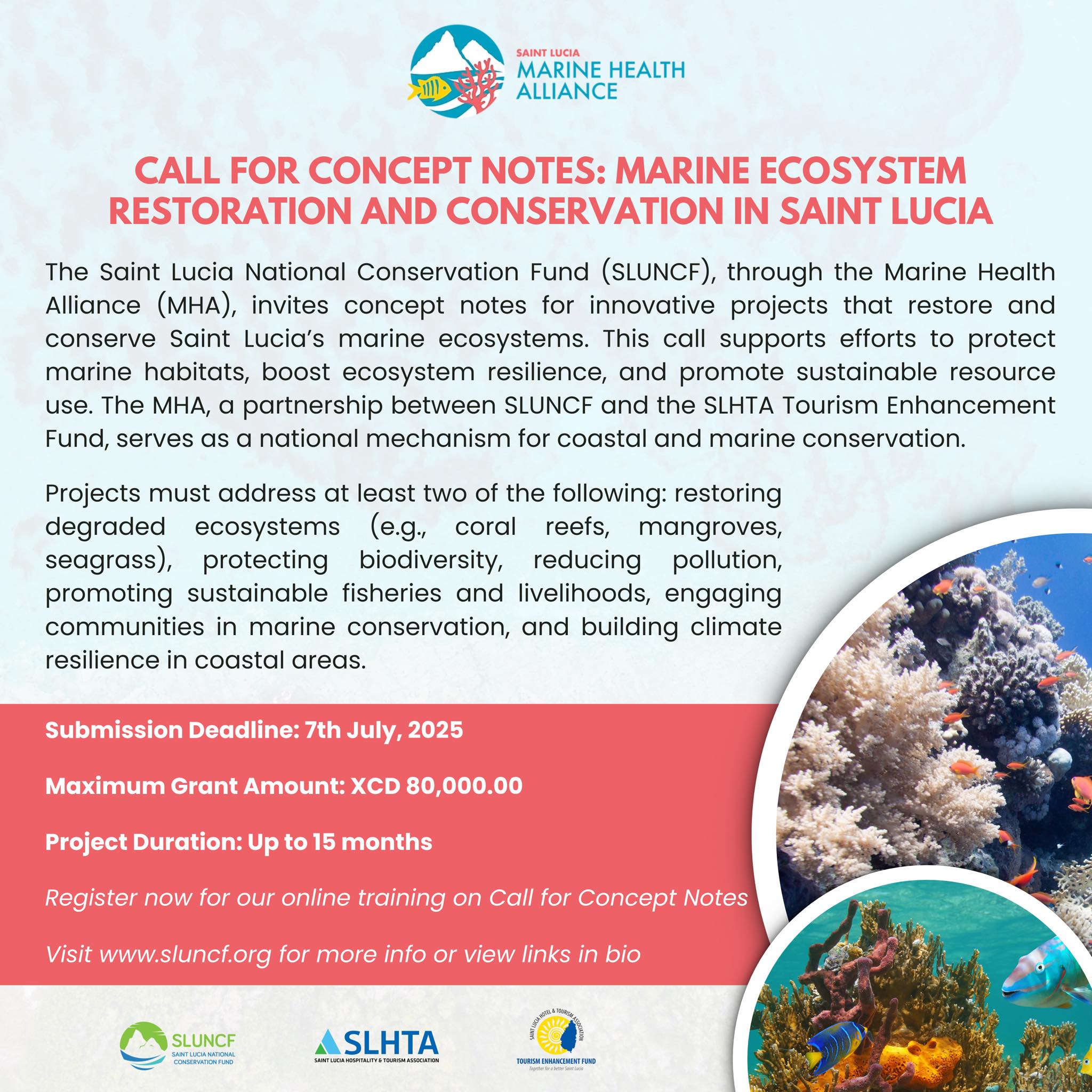 Call for Concept Notes: Marine Ecosystem Restoration and Conservation in Saint Lucia