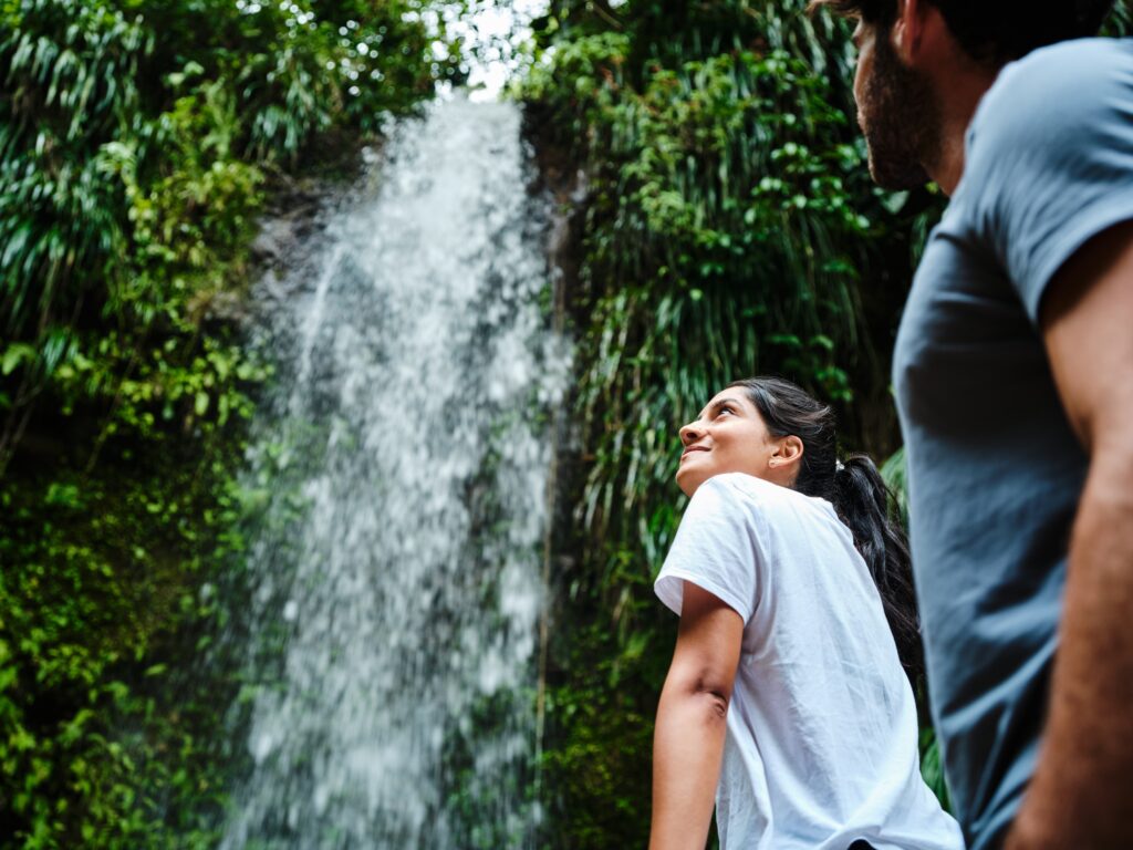 The Future is Green: How Hotels Can Respond to 2025’s Sustainable Travel Trends