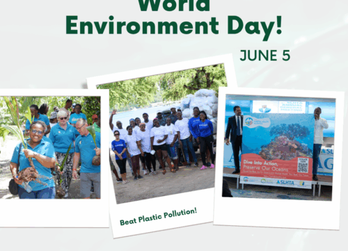 SLHTA marks World Environment Day 2025