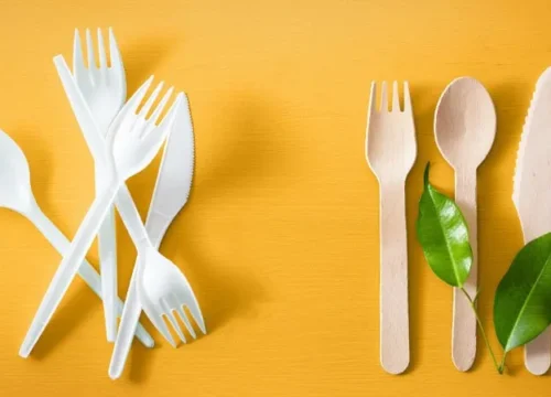 Reducing Single-Use Plastics in Saint Lucia: Sustaining the Wonder that Sustains Us
