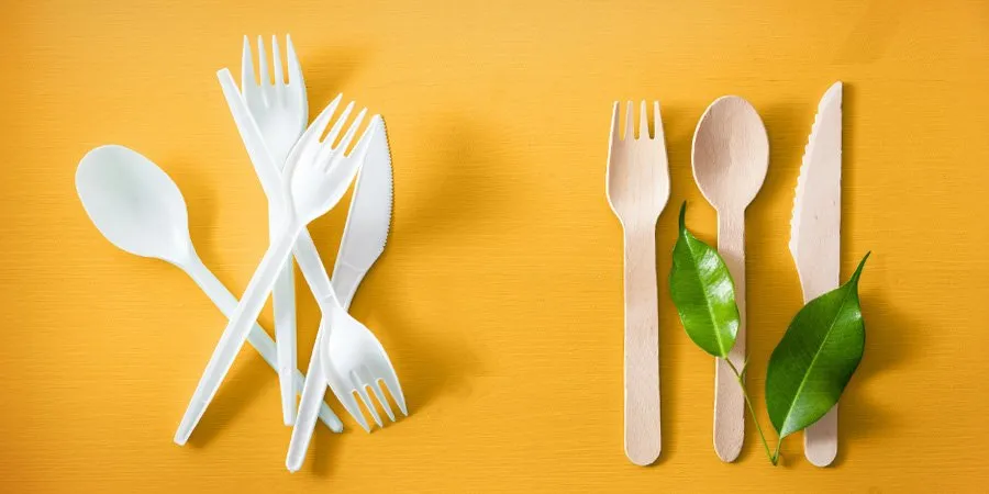 Reducing Single-Use Plastics in Saint Lucia: Sustaining the Wonder that Sustains Us
