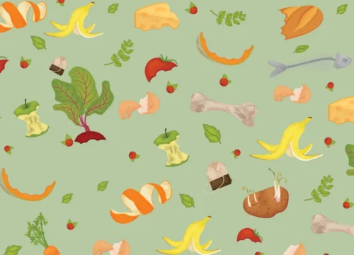 Cutting the Waste, Not the Experience: Why Food Waste Prevention in Hotels Matters Now More Than Ever