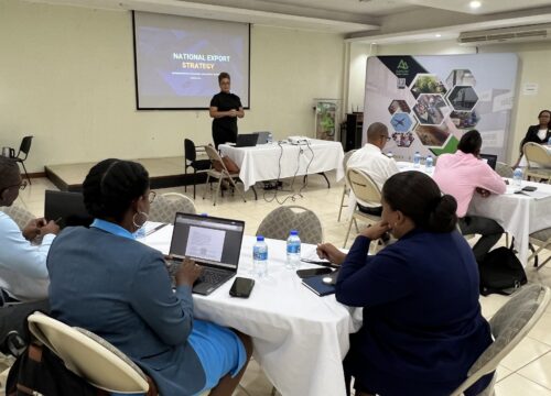 SLHTA Participates in Stakeholder Meeting on National Export Strategy 2025 – 2029