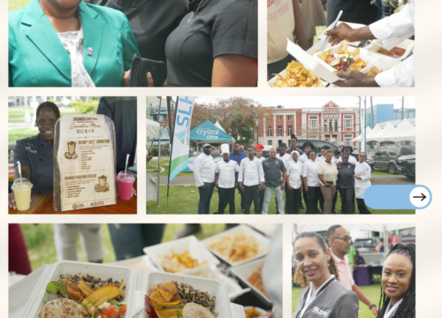 National Culinary Team Serves Up Healthy Saint Lucian Cuisine